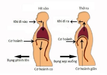 Nói thêm về phương pháp thở bụng